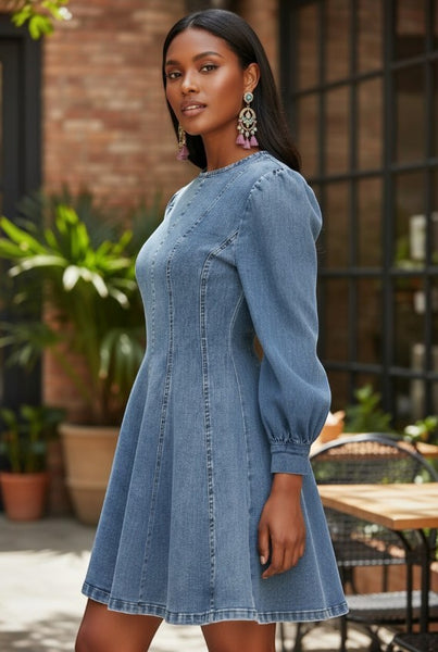 Collab Boutique light wash denim mini dress with puff sleeves, princess seams, and fit-and-flare skirt.